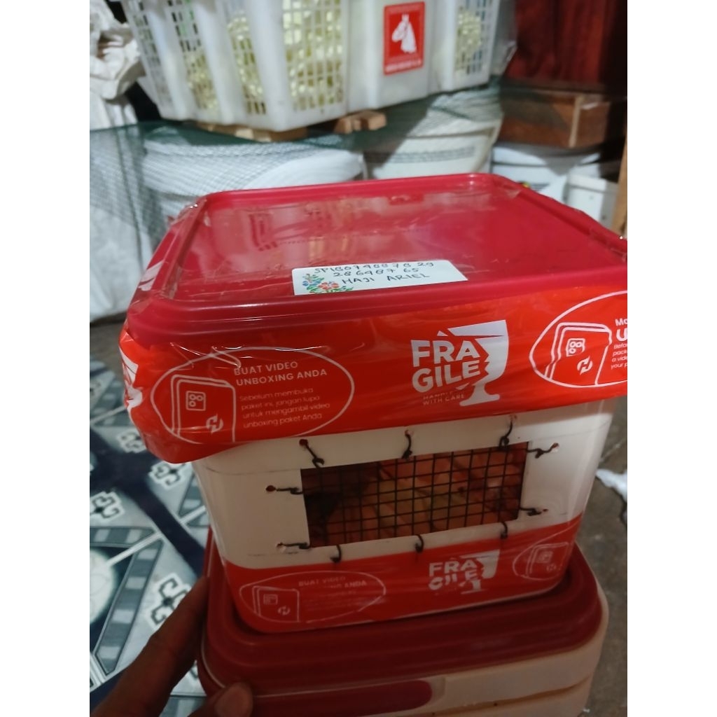 Box Packing + (Hamster) Hidup Sepasang