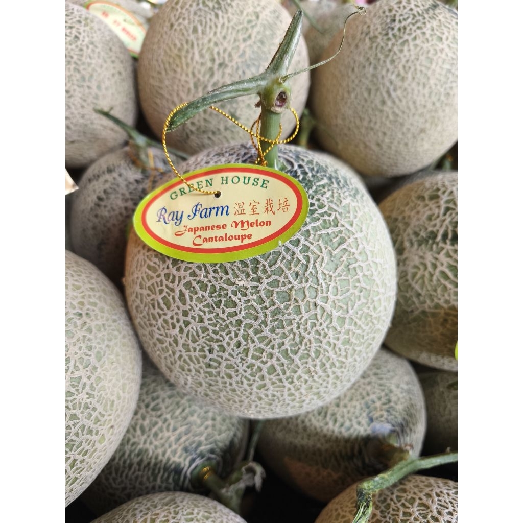 melon cantaloupe orange melon jepang daging orange each