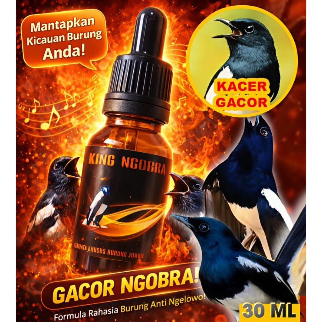 KING NGOBRA SUPER KACER 30ML suplement tetes penggacor burung Kacer skoci poci manuk haur
