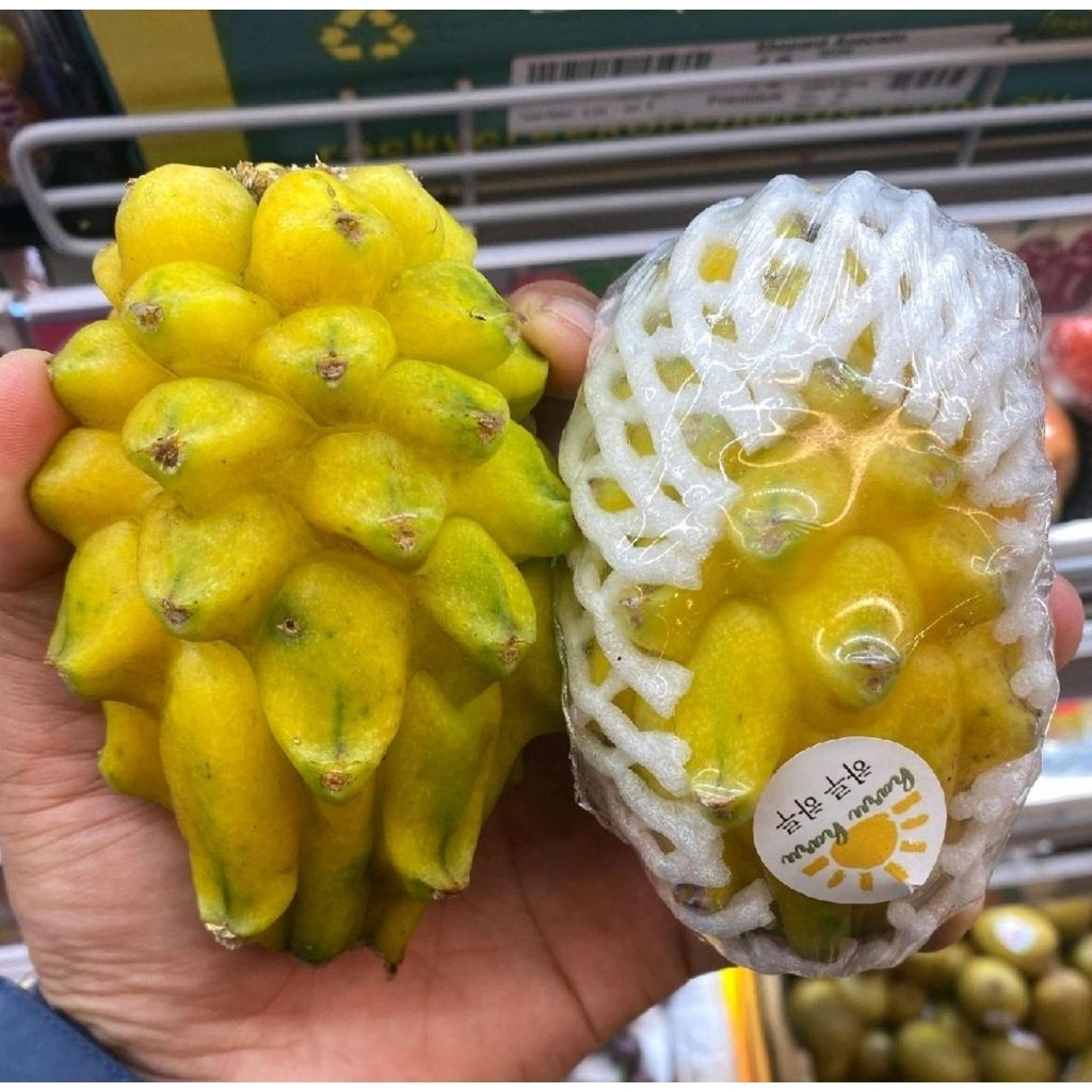 Buah Naga Kuning Premium (dragon fruit yellow) – Manis & Segar 1kg