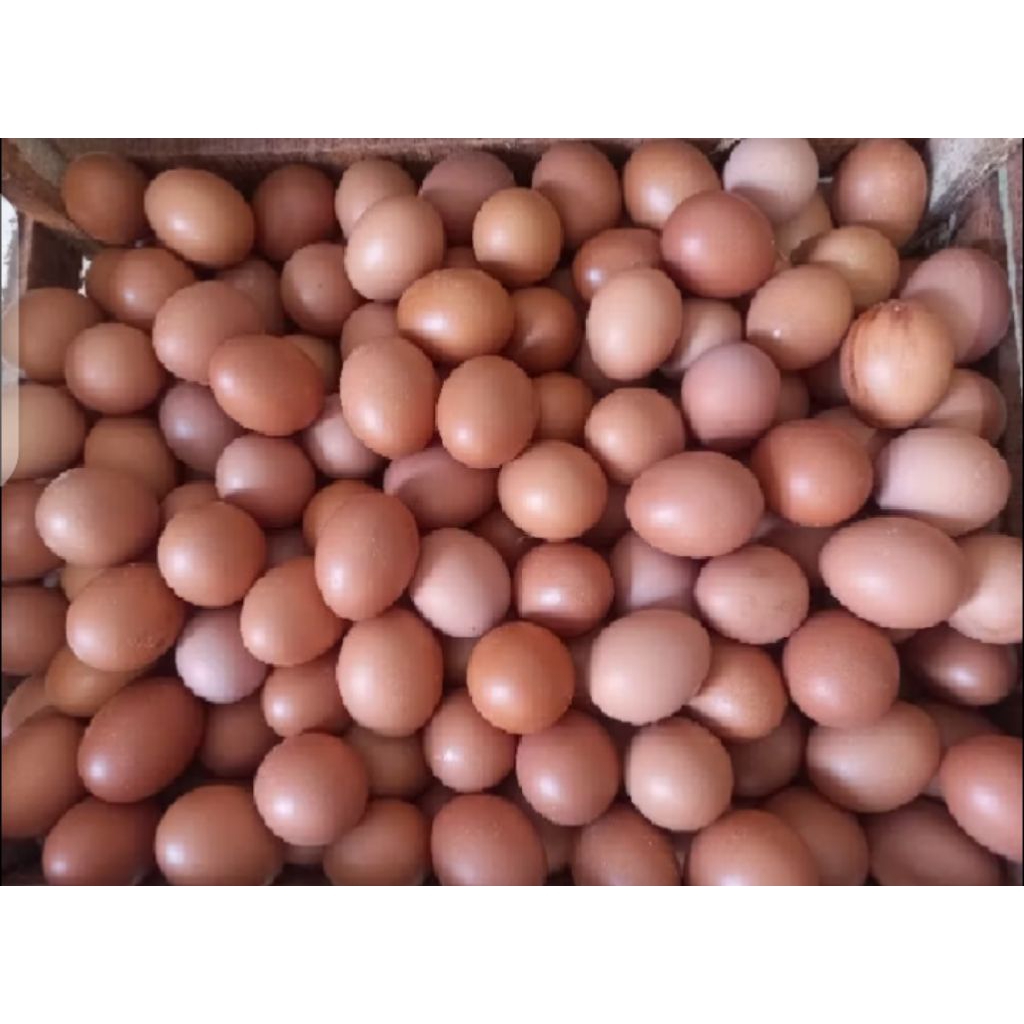 (Soko,Tuban) Instan Telur Ayam / Telur Puyuh / Telur asin masir
