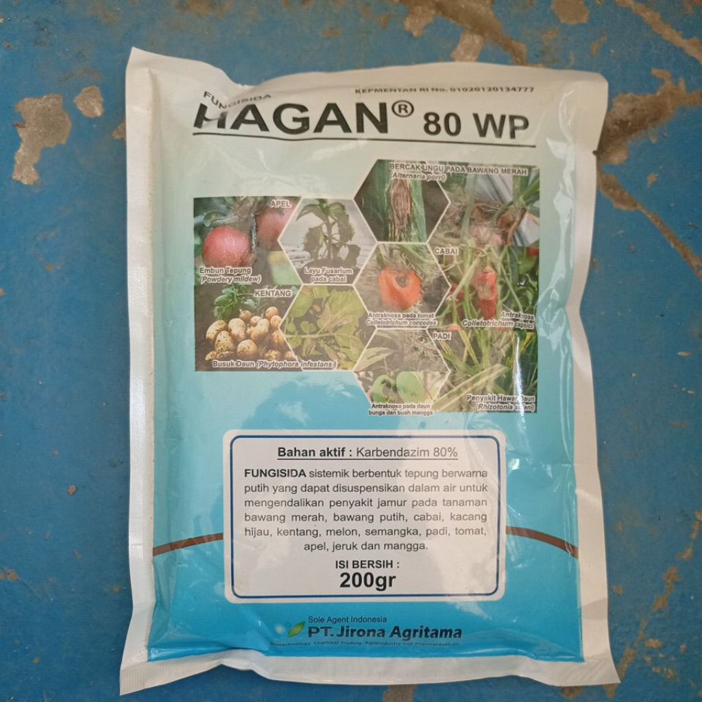 hagan 80 wp