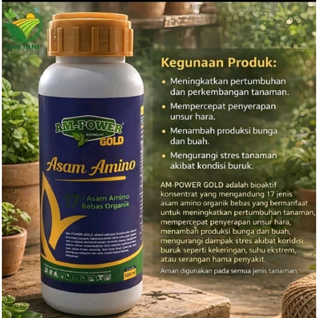 Asam amino AM POWER GOLD