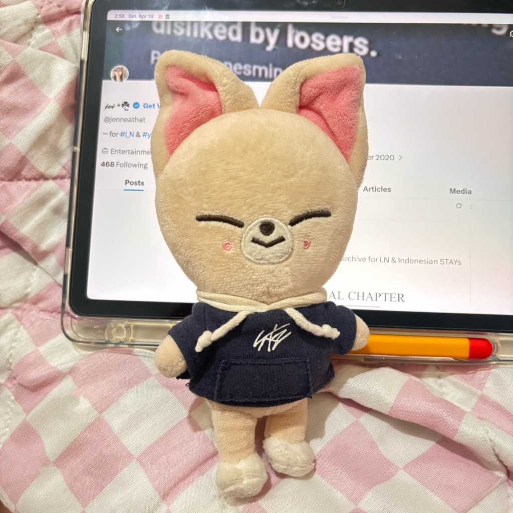 skzoo foxiny jiniret magic school 10cm