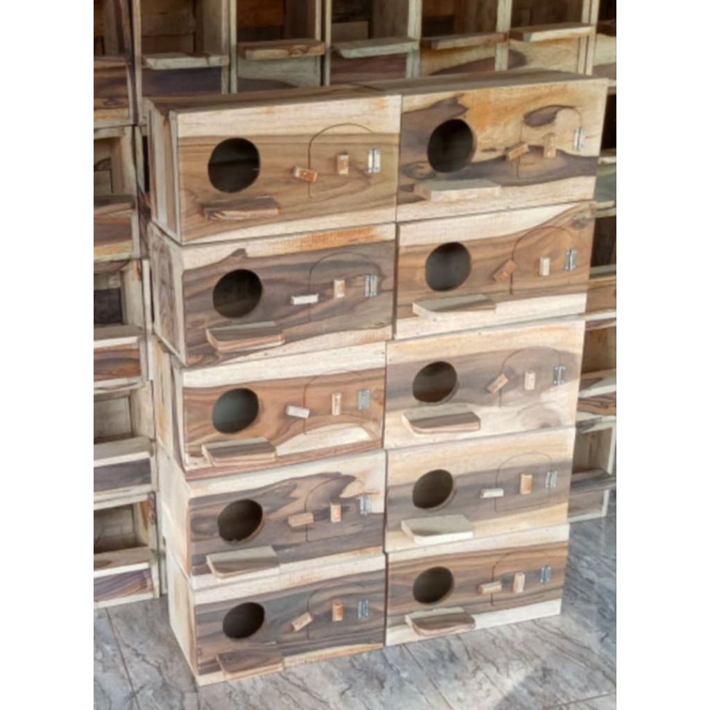 glodok falk | glodok jalak