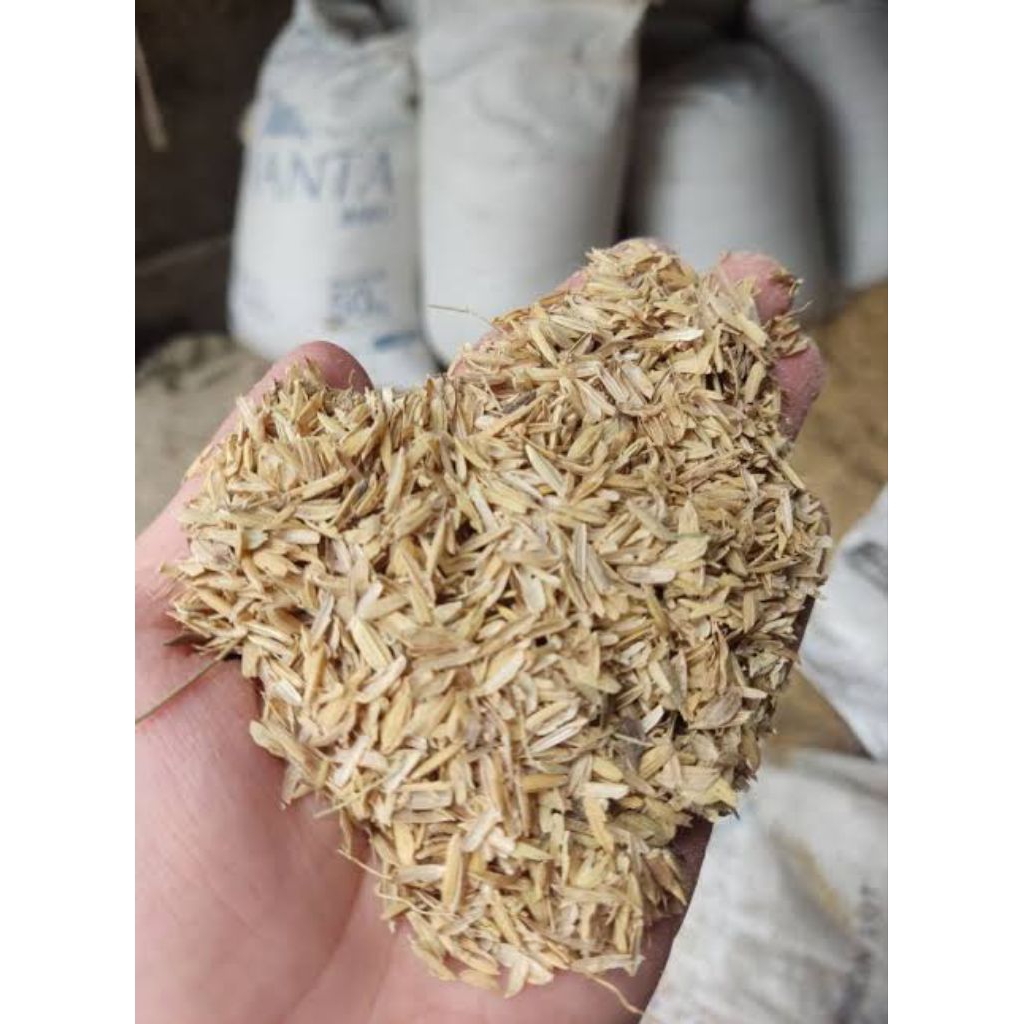 Sekam padi 1 karung (50 kg) an
