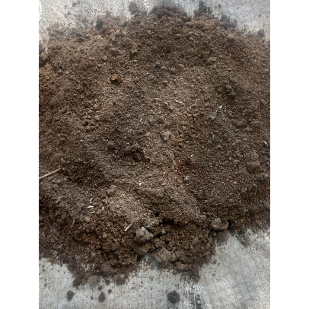 pupuk kandang/kotoran ayam murni