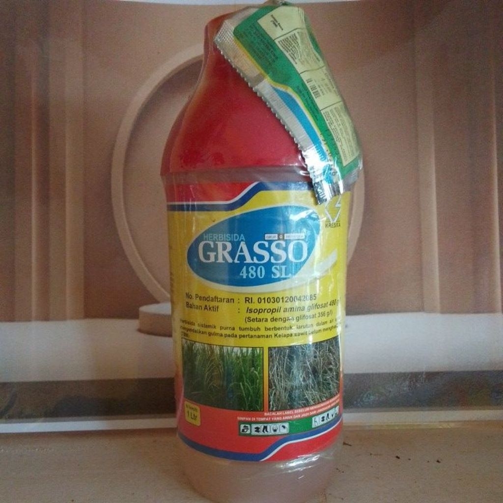 Herbisida Grasso 480SL Obat Rumput Kuning Pembasmi Semak Gulma Tanaman Kelapa Sawit Daun Lebar dan R
