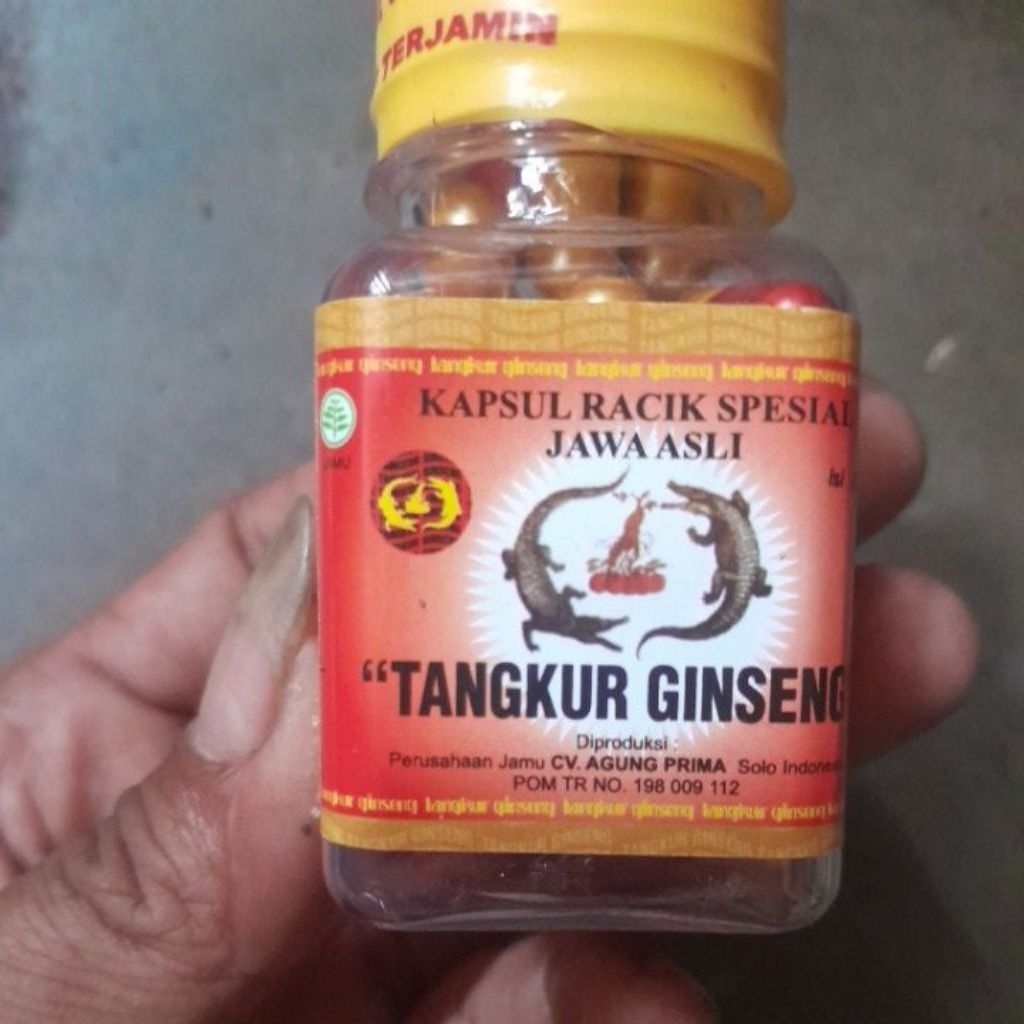 tangkur gingseng_asamurat_100%original