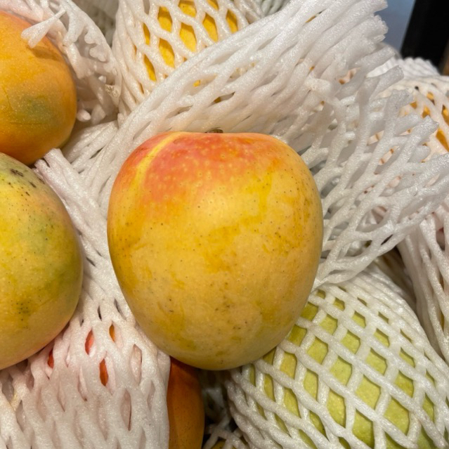 Mangga Golden Thailand Fresh / Mangga Golden Fresh 1kg