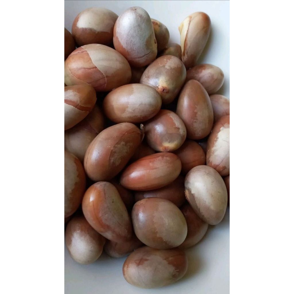 Biji nangka lokal segar 500 gram