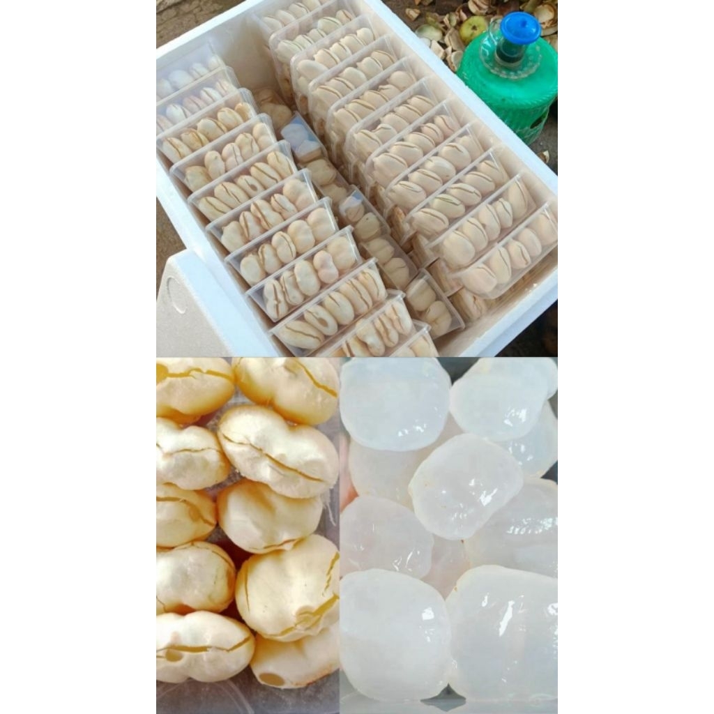 Lontar Kupas /pack
