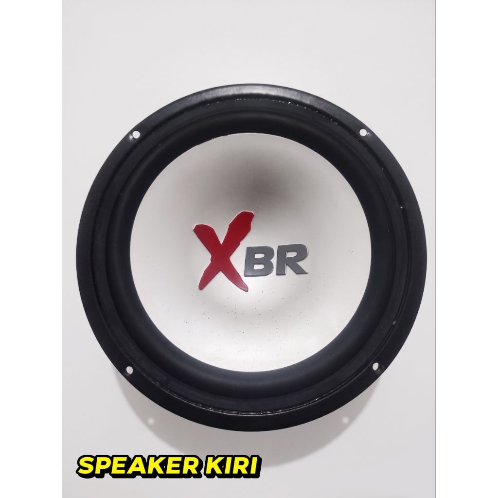 SPEAKER XBR 8INCH COPOTAN POLYTRON PAS 79