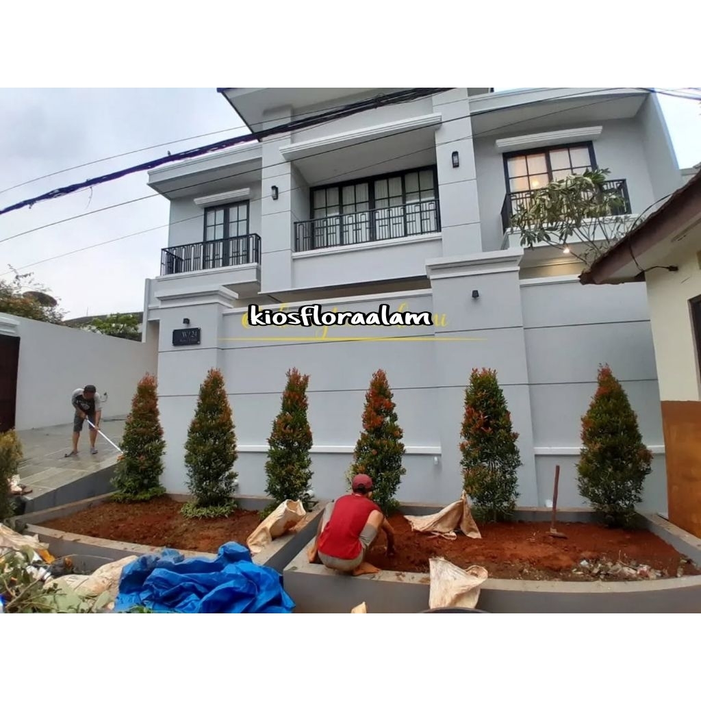 Taman minimalis depan rumah / pembuatan dekorasi taman / taman kering / taman vertikal garden / tama