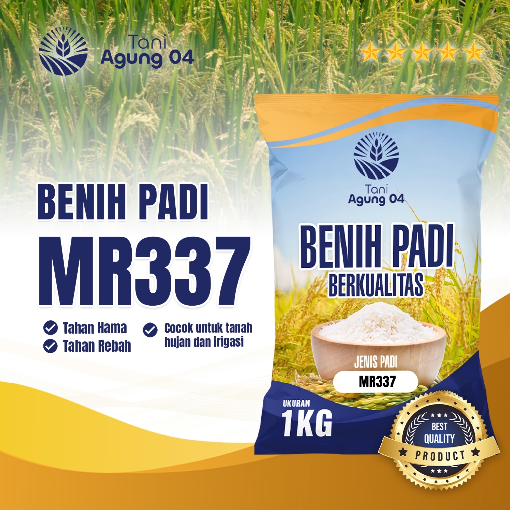 Benih Padi Bibit Padi MR337 Kualitas Original Kemasan 1 Kilo