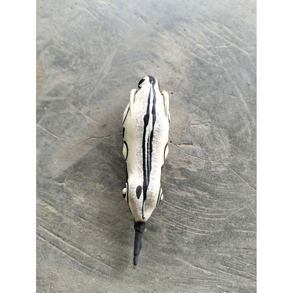 Sofrog 5cm ( Geol )