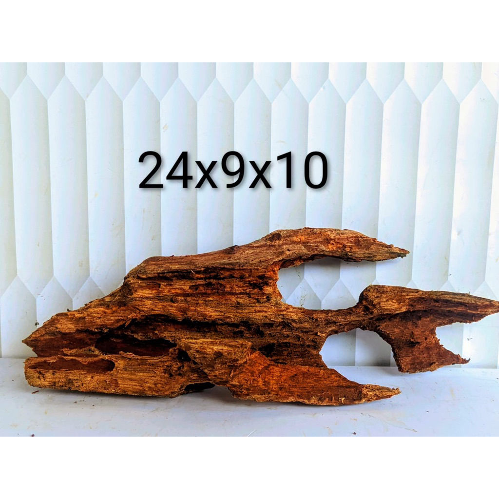 kayu rentek aquascape full tenggelam