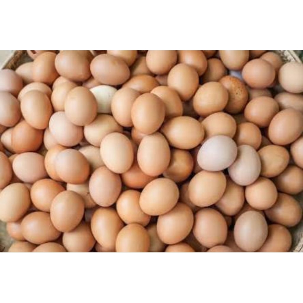 Telur ayam 1 peti