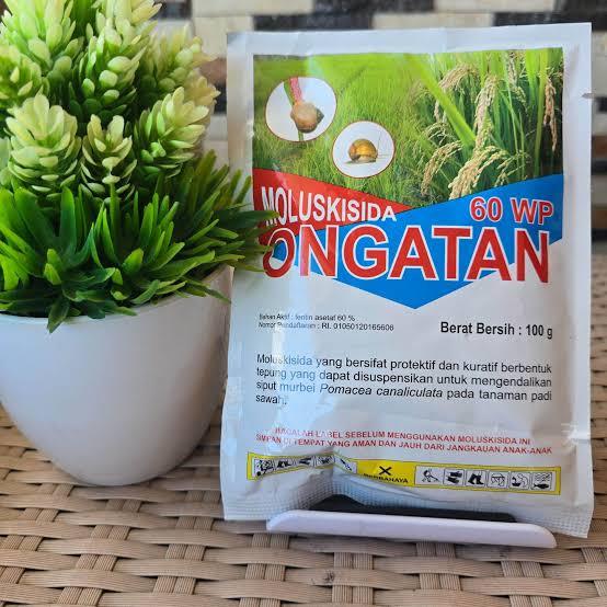 racun keong ONGATAN 60 WP 100 gr