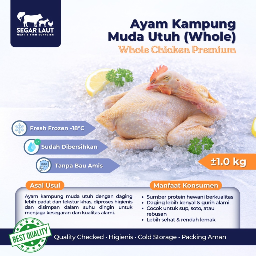 Ayam Kampung Muda Utuh (Whole)