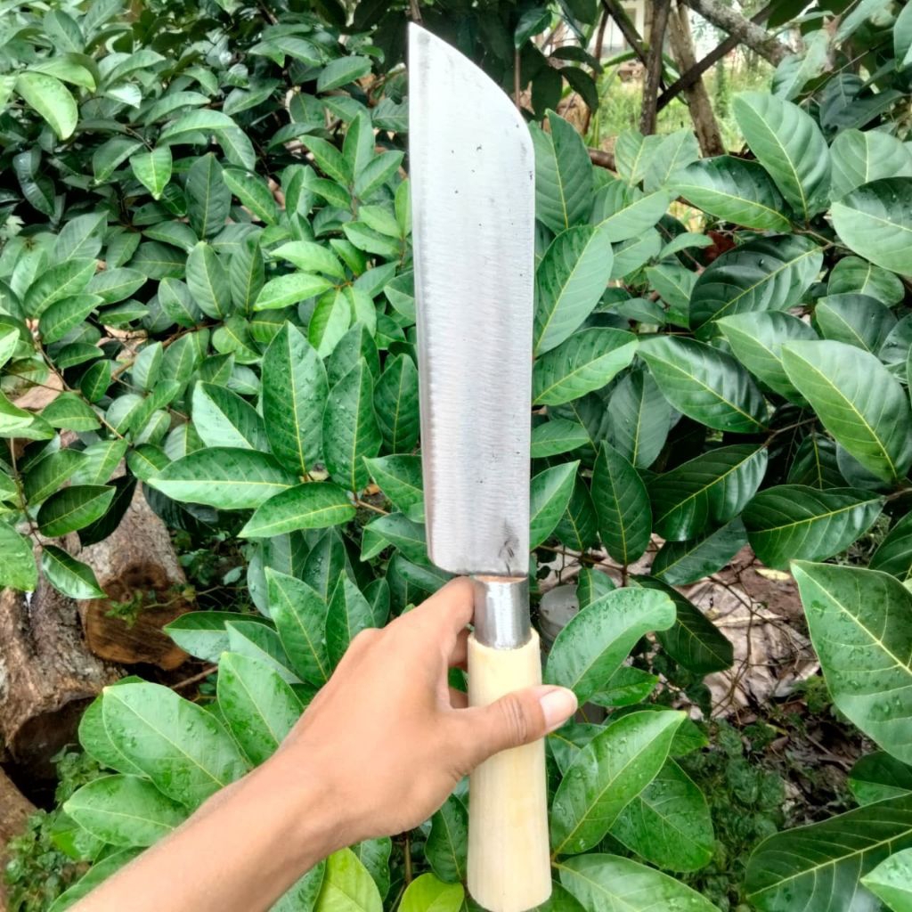 pisau cacah pisau potong daging potong ayam kelapa