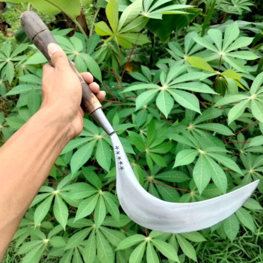 arit rumput madura arit tani arit rumput padi jagung dan ranting kecil