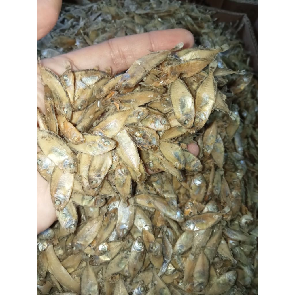 (Ikan asin Cianjur)Ikan asin Baby fish/Teri Unyil Berat bersih 250g/500gr