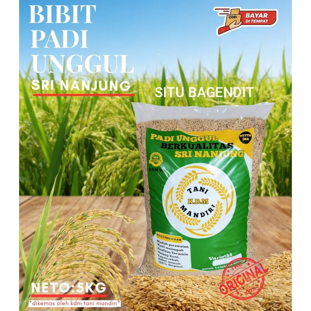 BENIH PADI SITU BAGENDIT KEMASAN 5KG BIBIT SUPER UNGGUL