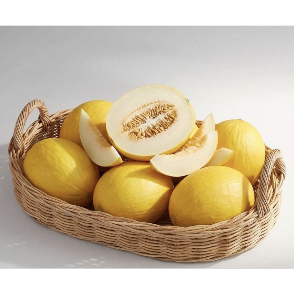 Melon golden,melon 1 buah utuh,melon segar,melon manis