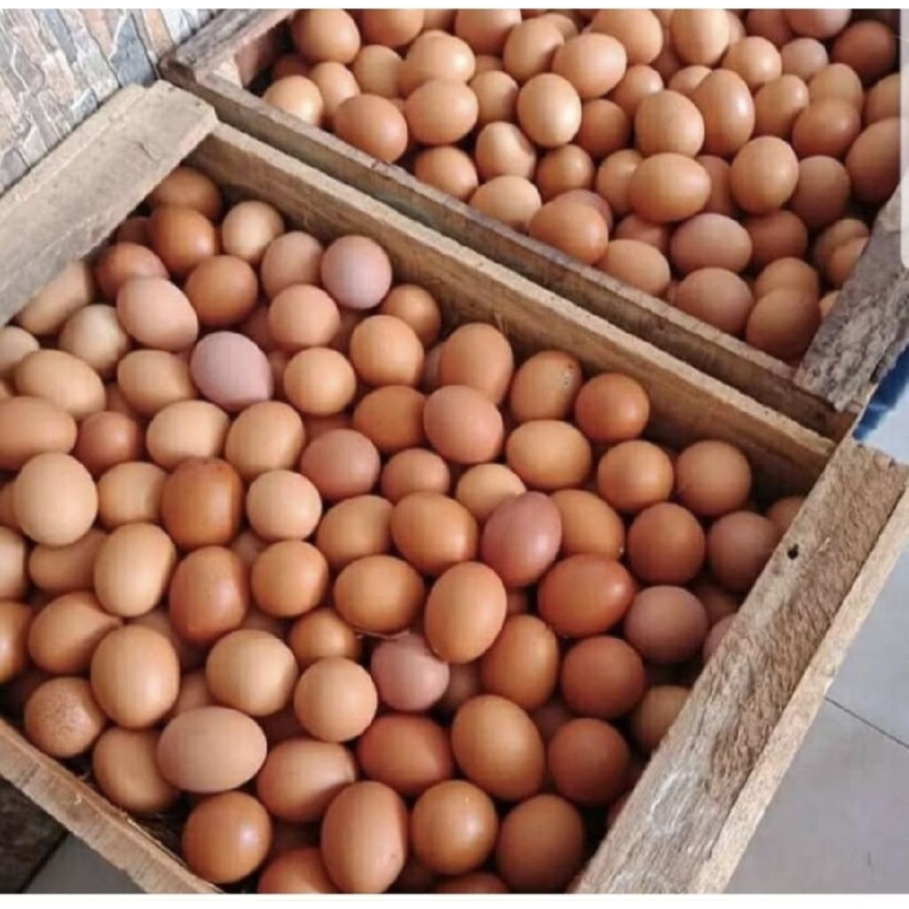 Telur Ayam 1kg/Telur Ayam Negeri 1kg/Telor Ayam 1kg