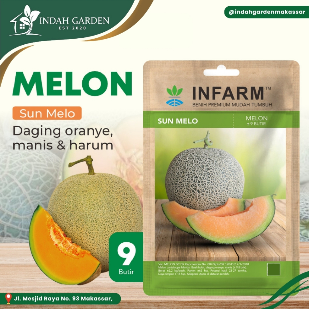 INFARM - Benih Buah Melon Sun melo - Buah Melon Unggul - Benih Melon Hibrida Premium Berkualitas
