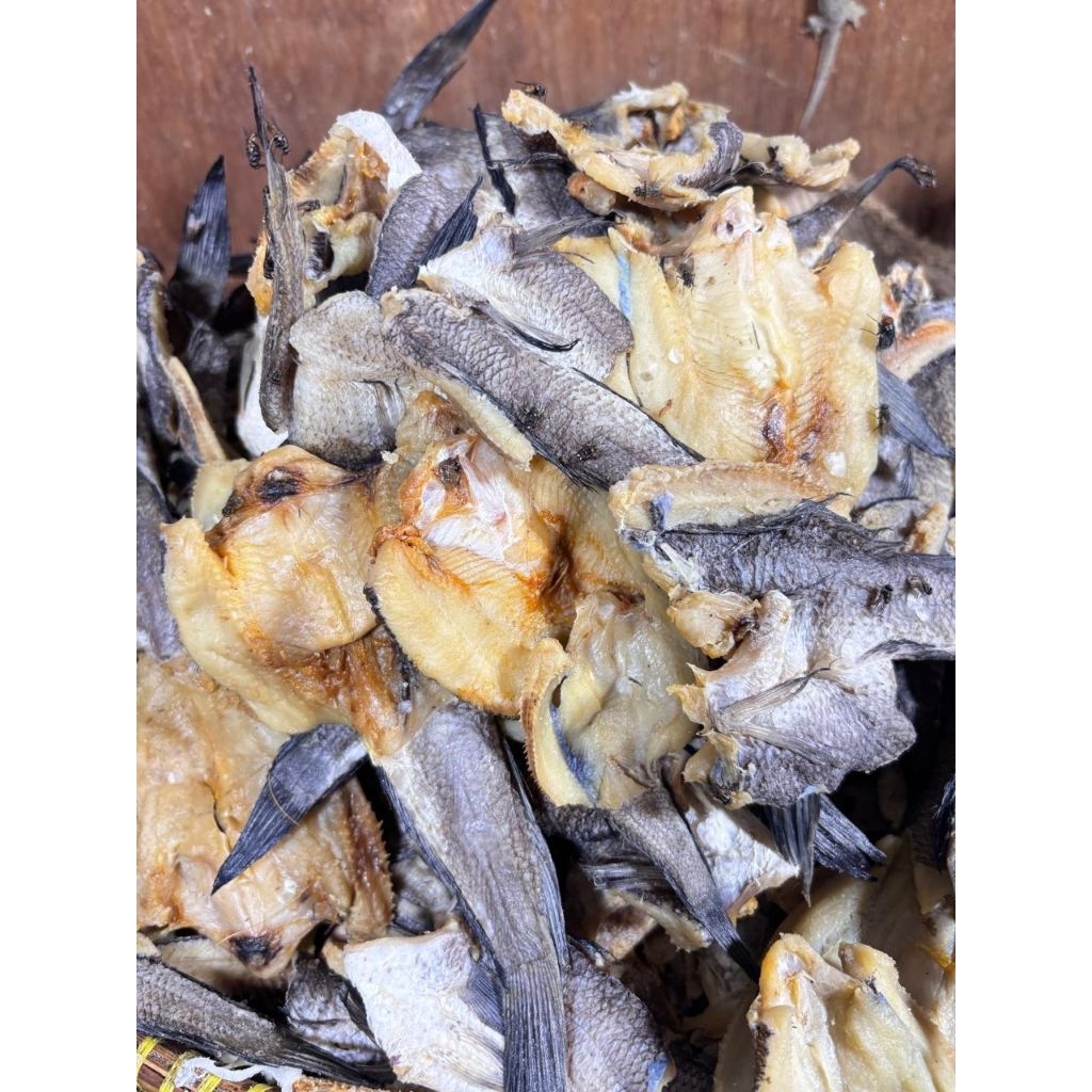 Ikan Gabus Asin Kering Premium
