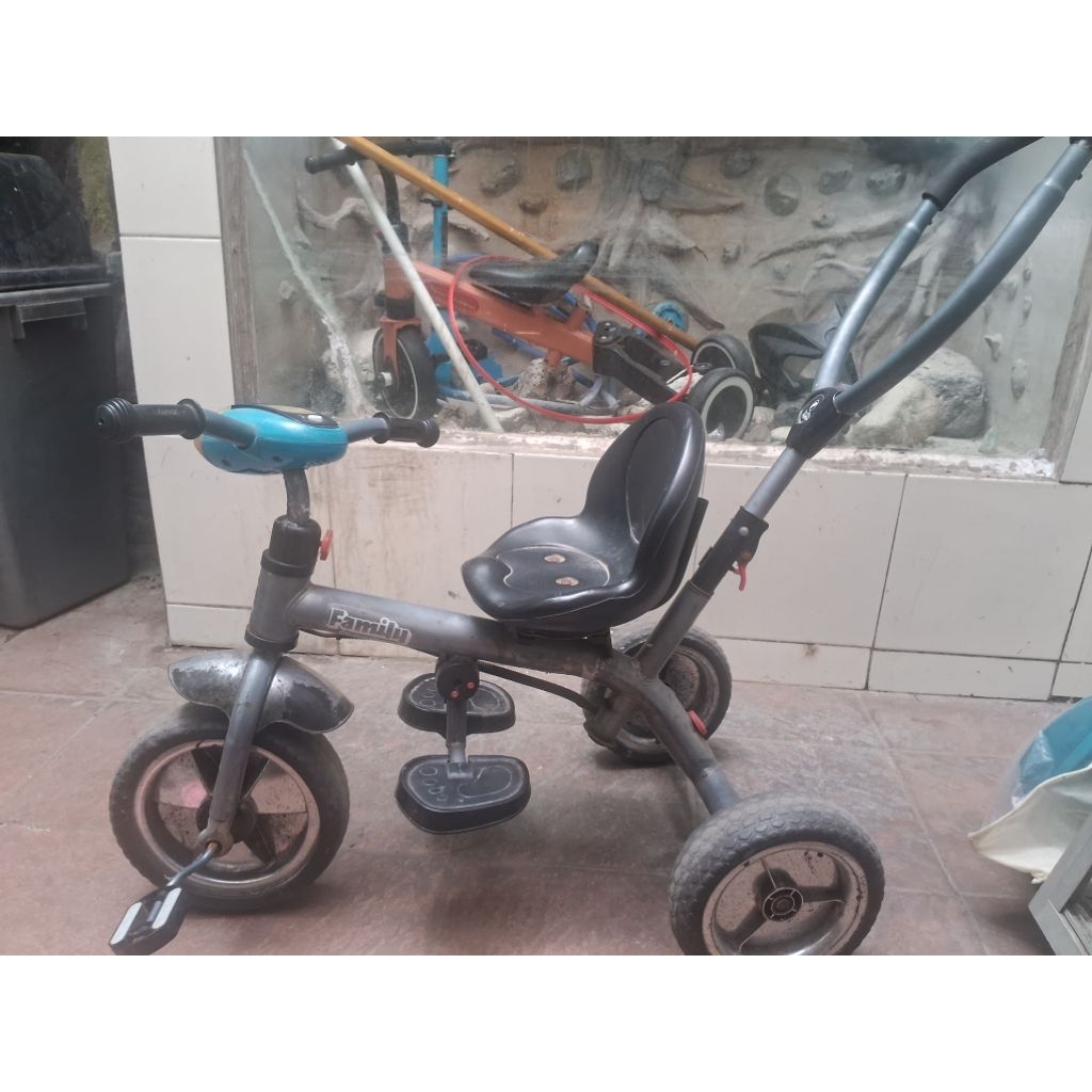 Sepeda roda 3 anak Family, PL