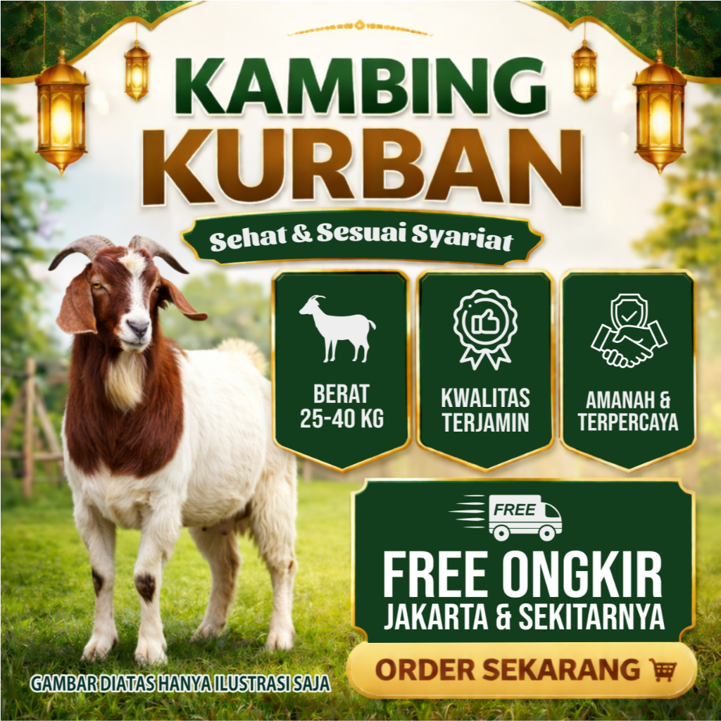 Kambing, Domba, Kambing Hidup, Domba Hidup, Kambing Kurban, Domba Kurban, Kambing Domba Kurban, Domb