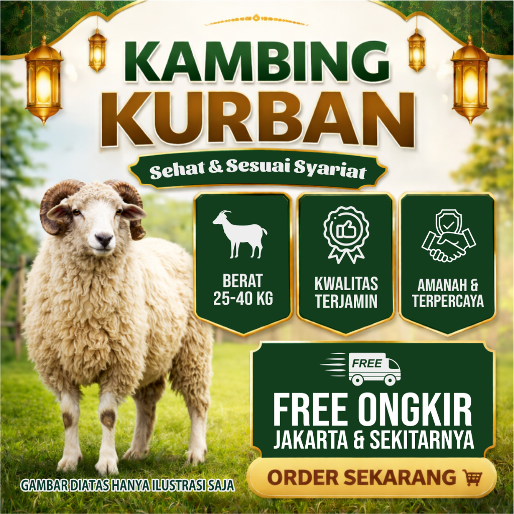 Kambing, Domba, Kambing Hidup, Domba Hidup, Kambing Kurban, Domba Kurban, Kambing Domba Kurban, Domb