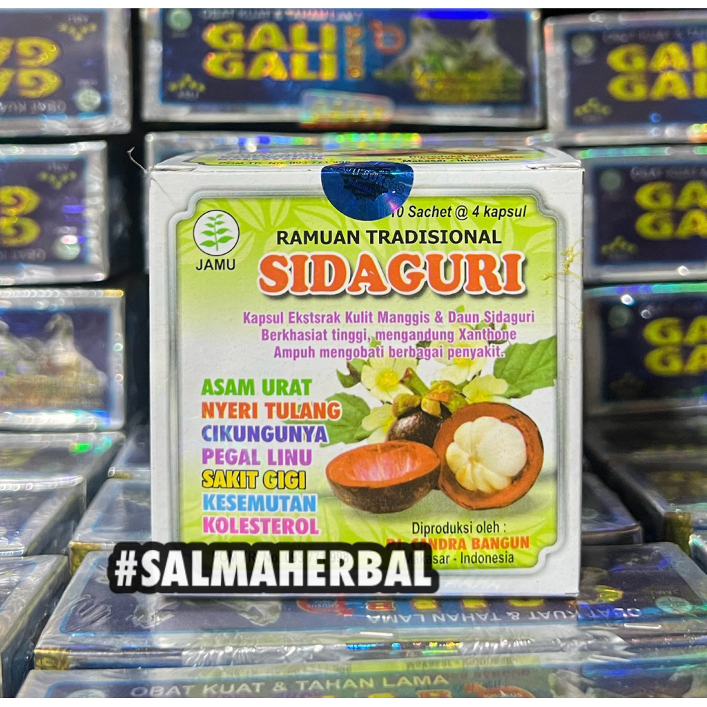 SIDAGURI KAPSUL ORIGINAL