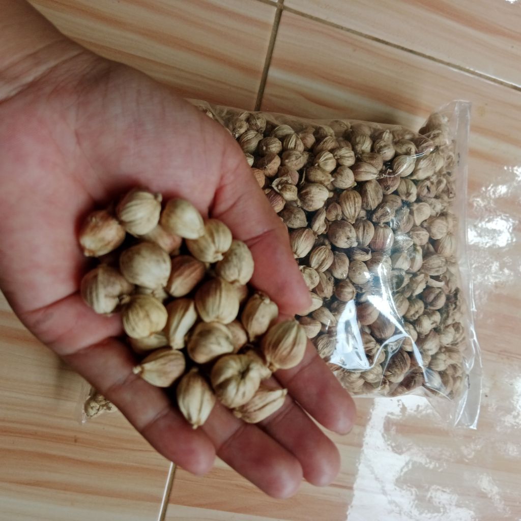 Kapulaga kering kapulaga organik kapulaga jawa kapol 1kg