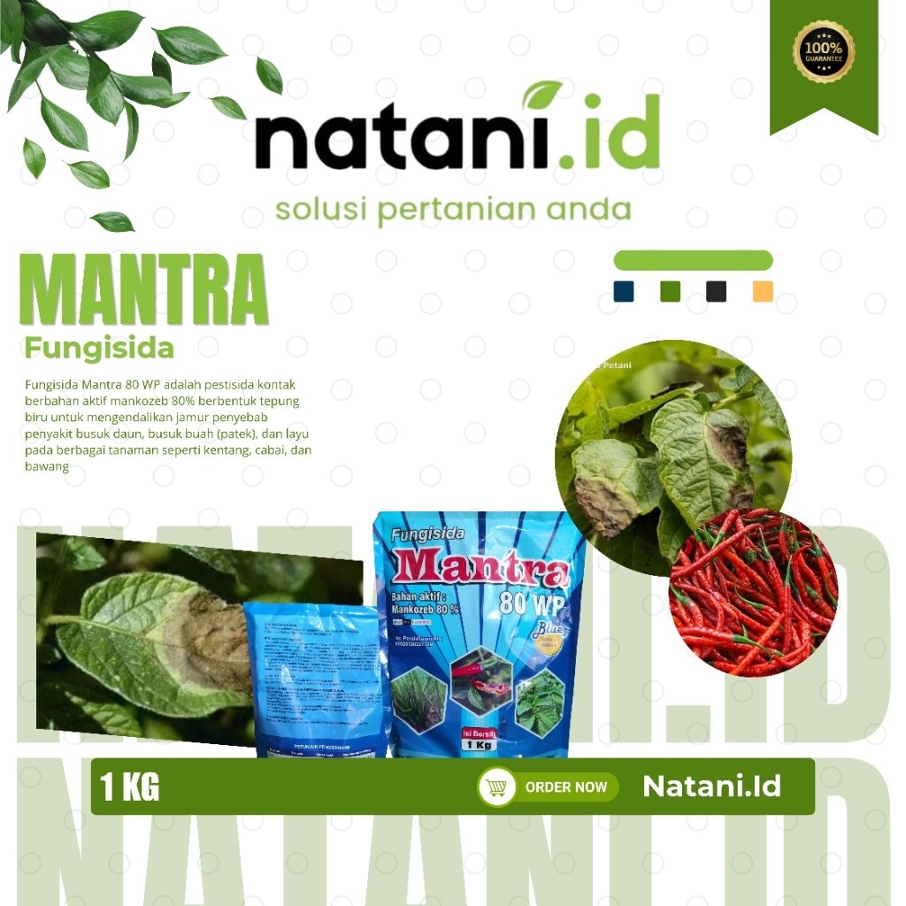Fungisida Mantra Biru (Mancozeb 80wp) 1Kg