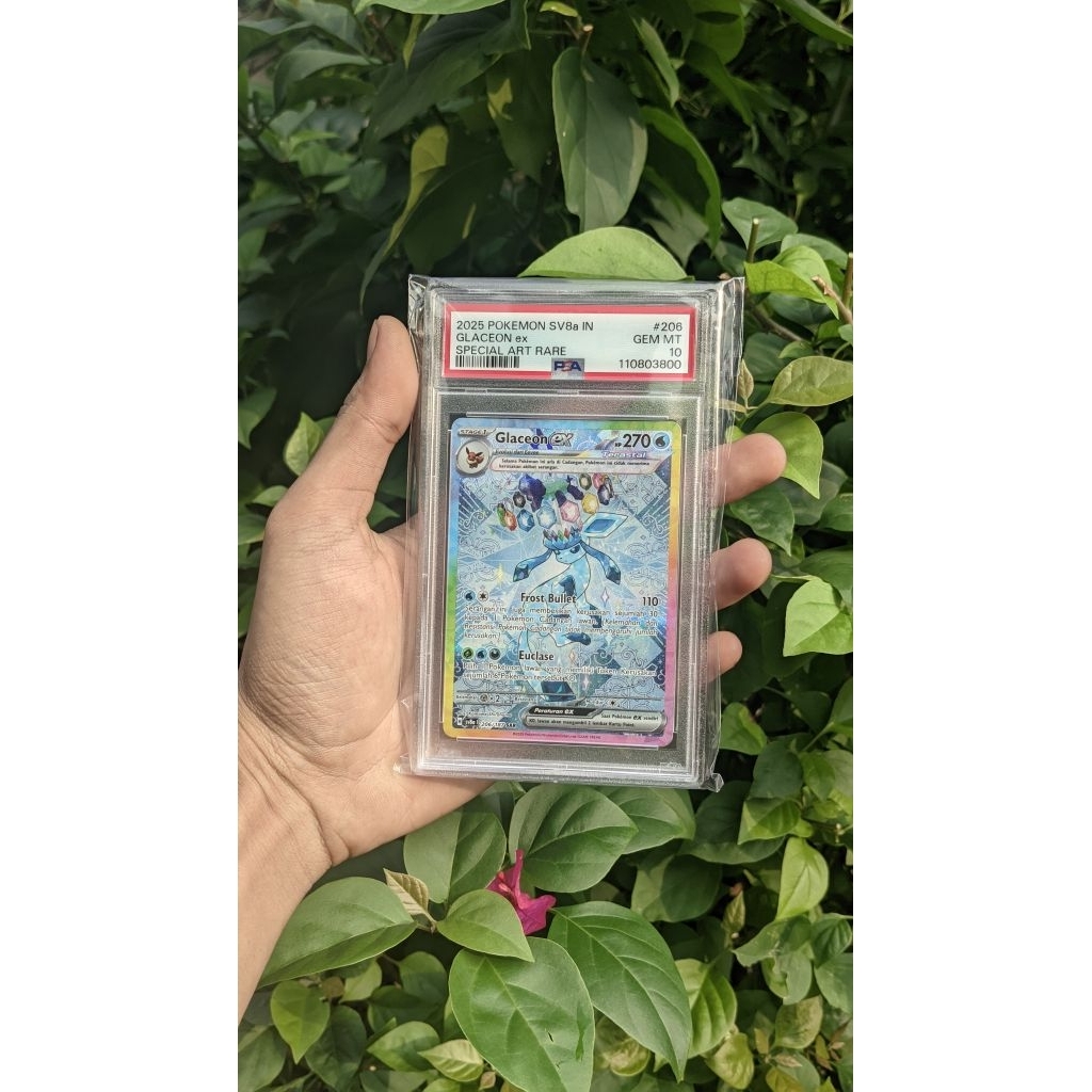 PSA 10 Glaceon ex SAR 206/184 SV8a Terastal Bersinar Pokemon TCG Indonesia