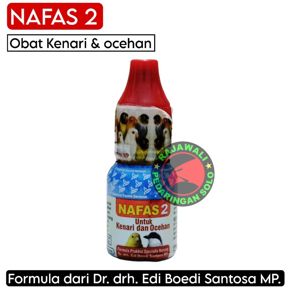 Nafas 2 Obat burung Kenari dan Ocehan - Mengobati Sakit pernafasan Burung - Asma