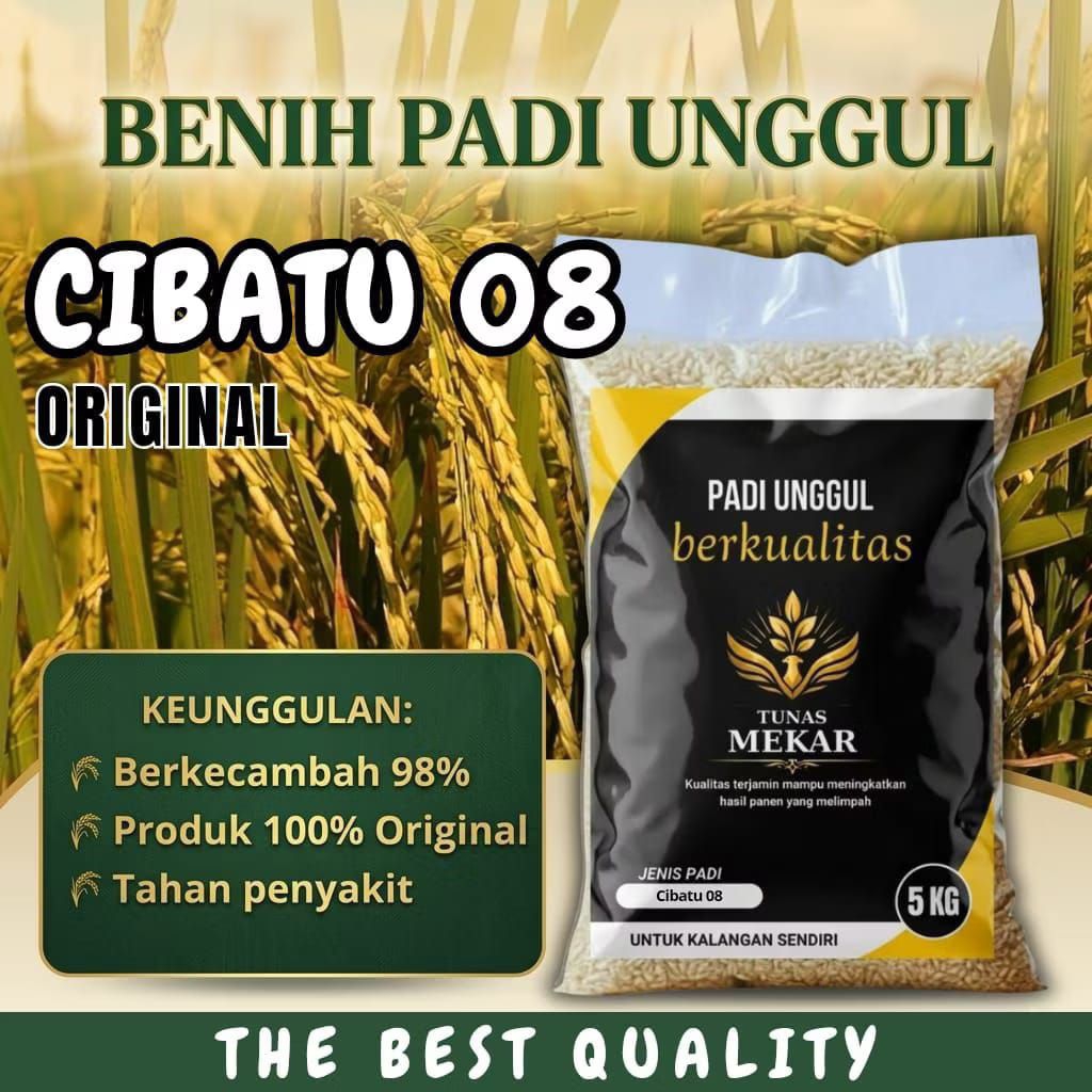 benih padi unggul CIBATU 08 original kemasan 5kg original CD