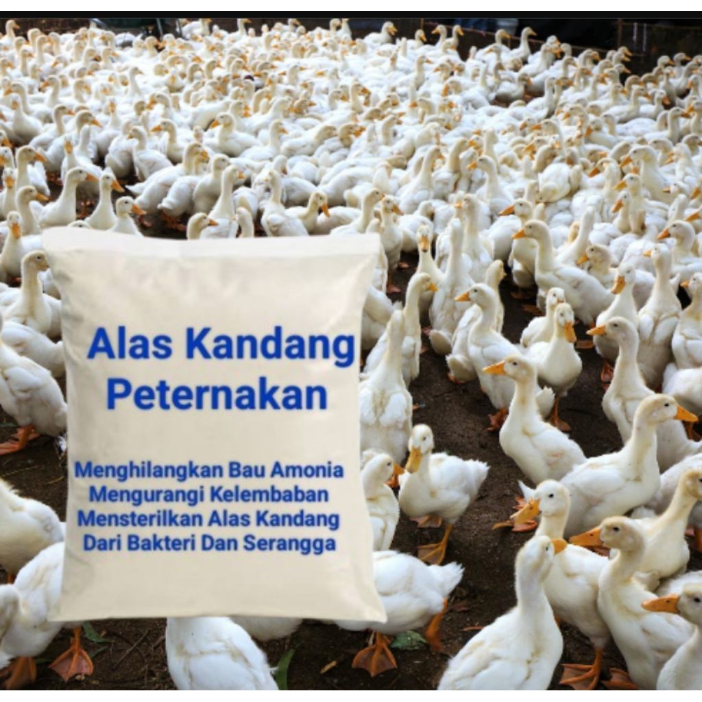 Dolomit Untuk Alas Kandang Bebek Ayam 500g