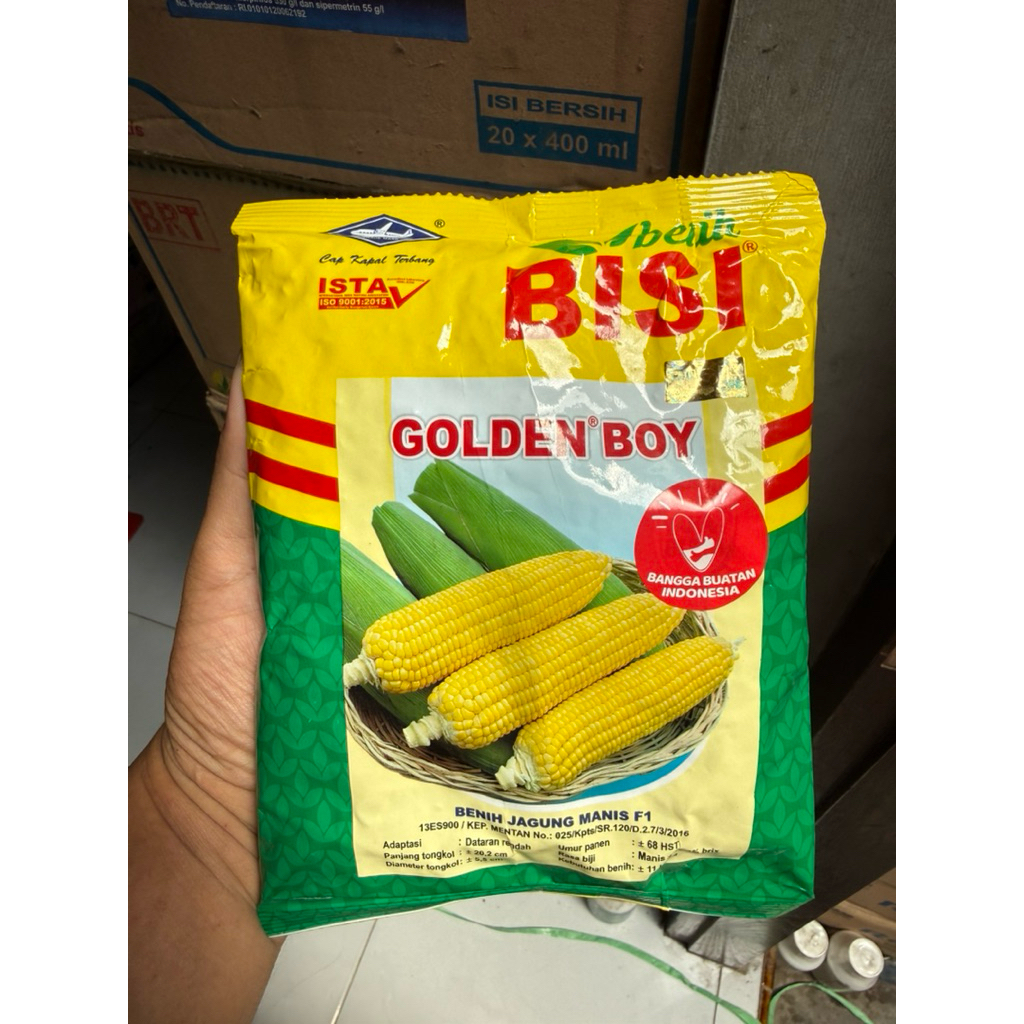 Benih Jagung Manis BISI GOLDEN BOY F1 | 1800 Biji | Sweet Corn Super Manis | Tahan Panas | Panen Cep