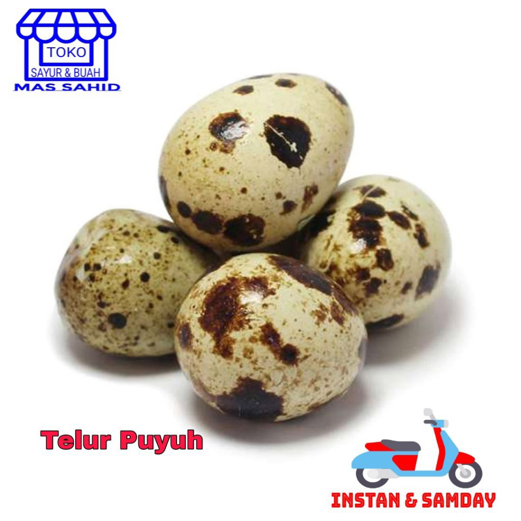 Telur Puyuh Telor Burung Puyuh Mentah 500 Gram instan dan someday