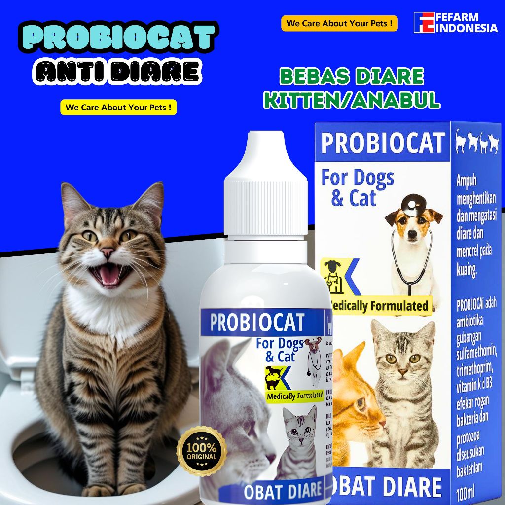 Obat Diare Kucing Obat Berak Darah Kucing PROBIOCAT FEFARM