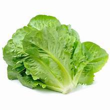 Selada baby romaine segar, sayur selada baby romaine, baby romaine