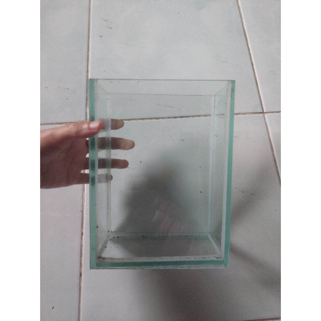 PAKET AQUARIUM IKAN GLOFISH