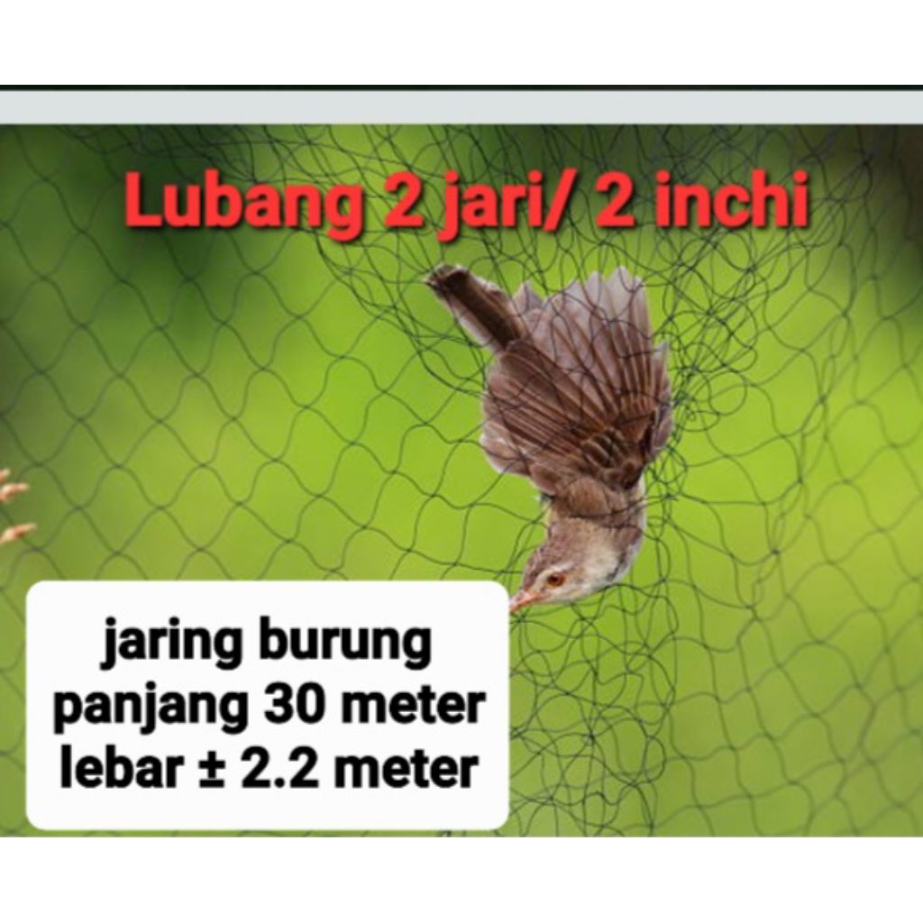 jaring burung jaring sawah ukuran 2 inchi / 2 jari panjang 30 meter lebar 2.2 meter jaring burung hi
