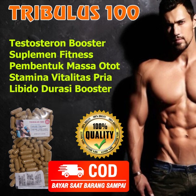 TRIBULUS HORMON TESTOSTERON Suplemen Fitness Stamina Vitalitas Pria Pembentuk Otot Edisi 100 Kapsul
