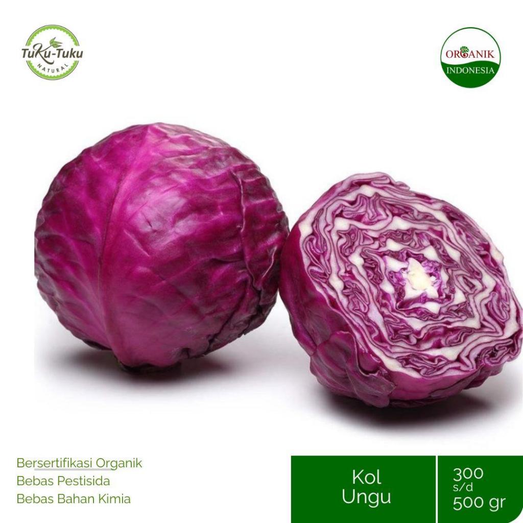 SAYUR KUBIS KOL UNGU ORGANIK QV 500GRAM